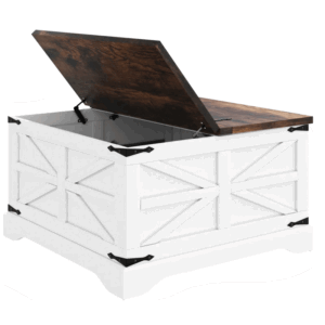 Gunther Coffee Table with Storage, Lift Top, White & Matte Black