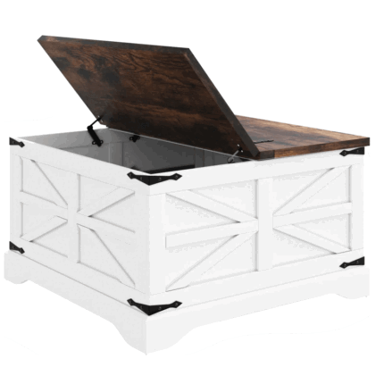 Gunther Coffee Table with Storage, Lift Top, White & Matte Black